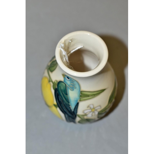 483 - A SMALL MOORCROFT POTTERY VASE, bird and lemon tree pattern, Sally Tuffin design, impressed and pain... 