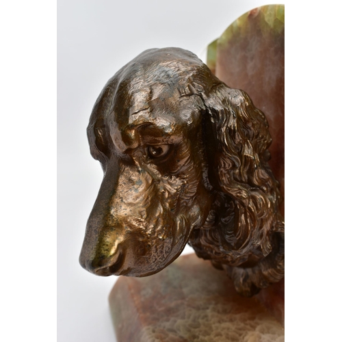 60A - A PAIR OF EARLY 20TH CENTURY FRENCH ALABASTER BOOKENDS mounted with a bronzed springer spaniel on on... 