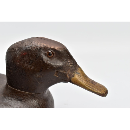 80A - A LATE 19TH CENTURY HAND CARVED WOOD DECOY DUCK, circa 1870, with traces of hand painted detail, hei... 