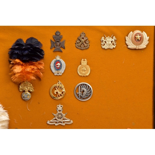 88 - A LARGE FRAME OF OVER THIRTY FIVE MISCELLANEOUS MILITARY CAP BADGES including North Staffs, RAC, RAF... 