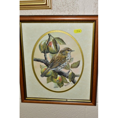 714 - PETER LINDSEY (BRITISH 20TH CENTURY) a Song Thrush sitting on a nest in an oak tree, signed lower ri... 