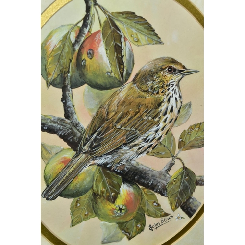 714 - PETER LINDSEY (BRITISH 20TH CENTURY) a Song Thrush sitting on a nest in an oak tree, signed lower ri... 