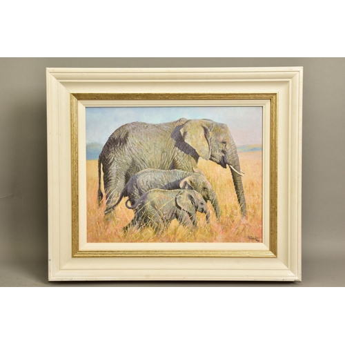 272 - TONY FORREST (BRITISH 1961) 'FAMILY OUTING' a limited edition print of African Elephants 39/195, sig... 