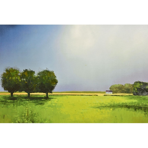 278 - BARRY HILTON (BRITISH 1941) 'GREEN FIELDS OF HOME' a limited edition print of a landscape, signed bo... 