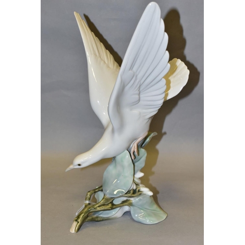 303 - A LLADRO TURTLE DOVE, model no 4550, perched on leaves with wings raised, designed by Fulgencio Garc... 