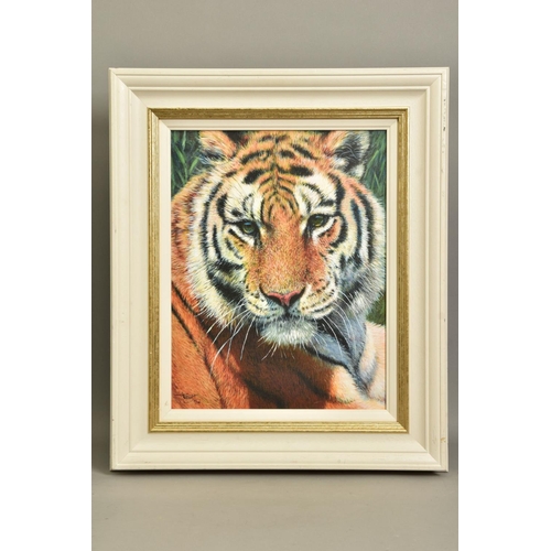 302 - TONY FORREST (BRITISH 1961) 'WILD THING', a portrait of a tiger, limited edition print, 47/195, sign... 