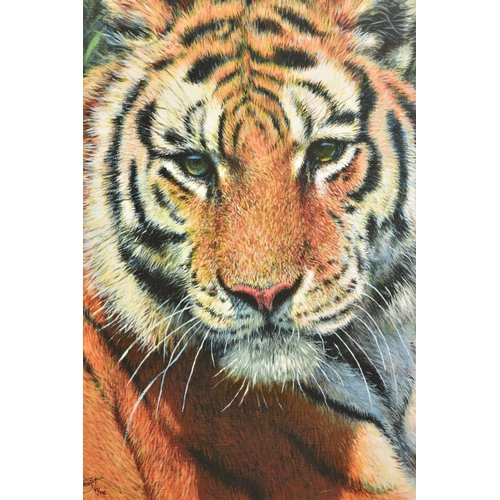 302 - TONY FORREST (BRITISH 1961) 'WILD THING', a portrait of a tiger, limited edition print, 47/195, sign... 