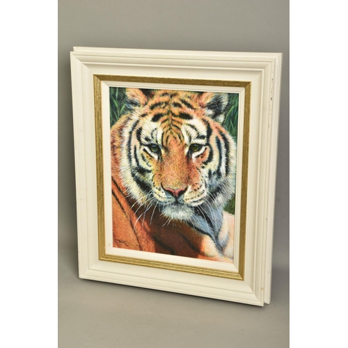 302 - TONY FORREST (BRITISH 1961) 'WILD THING', a portrait of a tiger, limited edition print, 47/195, sign... 