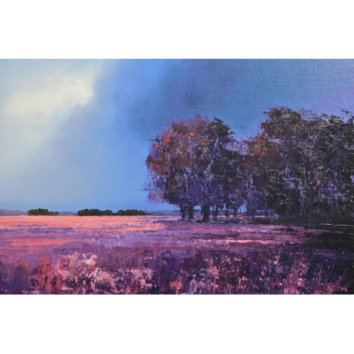 306 - BARRY HILTON (BRITISH 1941) 'SHADES OF DUSK', a limited edition print of a landscape 20/195, signed ... 