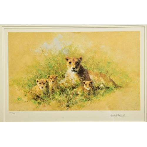 307 - DAVID SHEPHERD (BRITISH 1931-2017) 'LIONESS AND CUBS', a limited edition print 292/475, signed to lo... 