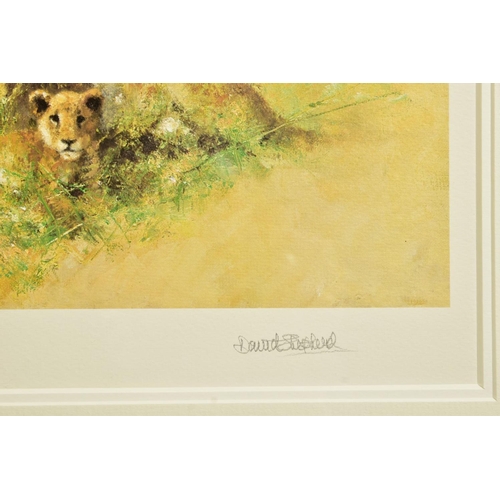 307 - DAVID SHEPHERD (BRITISH 1931-2017) 'LIONESS AND CUBS', a limited edition print 292/475, signed to lo... 