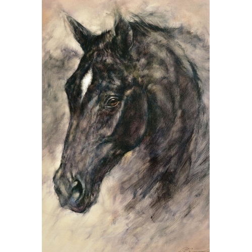 310 - GARY BENFIELD (BRITISH 1965) 'MIDNIGHT', a limited edition head portrait of a black horse 72/95, sig... 