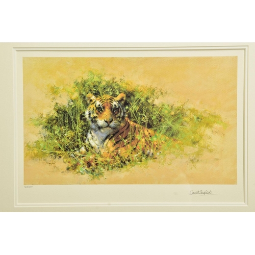 312 - DAVID SHEPHERD (BRITISH 1931-2017) 'BENGAL TIGER', a limited edition print 310/475, signed to lower ... 