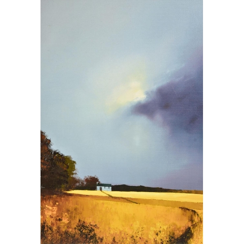 313 - BARRY HILTON (BRITISH 1941) 'GOLDEN FIELDS OF HOME', a limited edition print of a landscape 51/195, ... 