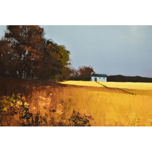 313 - BARRY HILTON (BRITISH 1941) 'GOLDEN FIELDS OF HOME', a limited edition print of a landscape 51/195, ... 