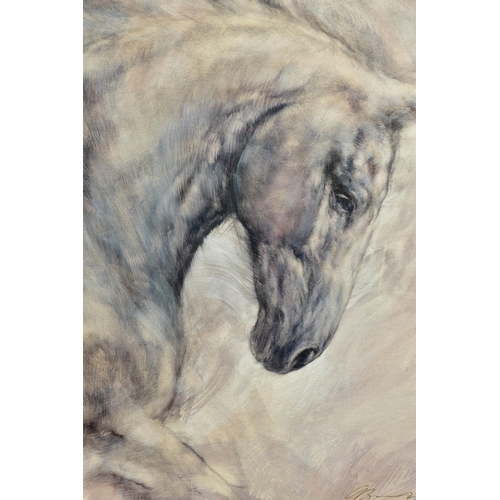 316 - GARY BENFIELD (BRITISH 1965) 'MOONLIGHT', an artist proof print portrait of a white horse 5/20, sign... 