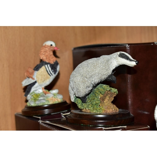 377 - SEVEN BOXED COUNTRY ARTISTS ANIMAL AND BIRD SCULPTURES, comprising 'Long Tailed Tit with Gorse', s.d... 