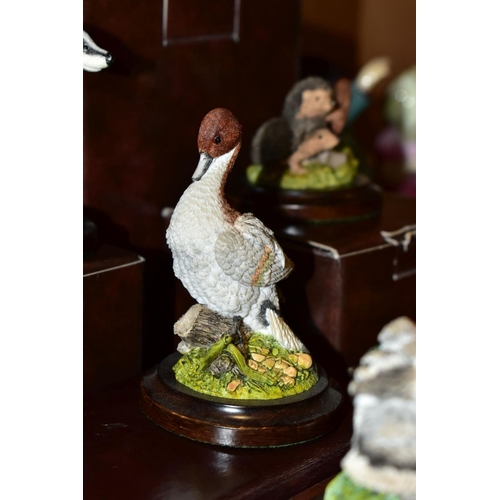 377 - SEVEN BOXED COUNTRY ARTISTS ANIMAL AND BIRD SCULPTURES, comprising 'Long Tailed Tit with Gorse', s.d... 