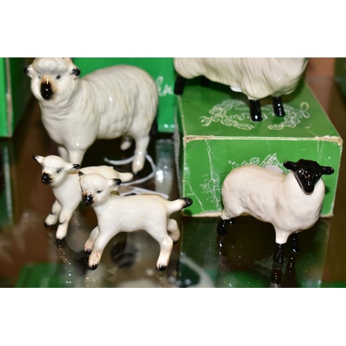 408 - SIX BESWICK SHEEP, comprising sheep No 935, two lambs No 937 and 938, boxed Black Faced Sheep No 176... 