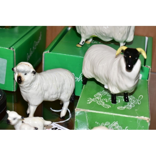 408 - SIX BESWICK SHEEP, comprising sheep No 935, two lambs No 937 and 938, boxed Black Faced Sheep No 176... 