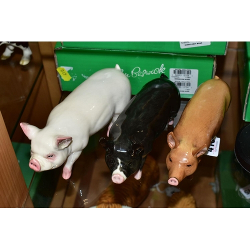 410 - THREE BOXED BESWICK RARE BREED PIGS, comprising Tamworth Sow No 4114, Middlewhite Boar No 4117 and B... 