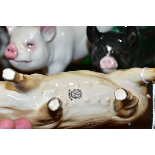 410 - THREE BOXED BESWICK RARE BREED PIGS, comprising Tamworth Sow No 4114, Middlewhite Boar No 4117 and B... 