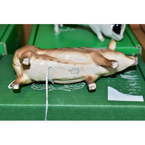 411 - TWO BOXED BESWICK PIGS, Tamworth Pig G215 and Gloucester Old Spot Pig G230, designed by Amanda Hughe... 