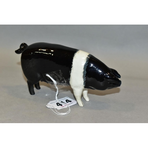 414 - A BESWICK WESSEX SADDLEBACK SOW, Ch 'Merrywood Silver Wings 56th' No 1511, designed by Colin Melbour... 