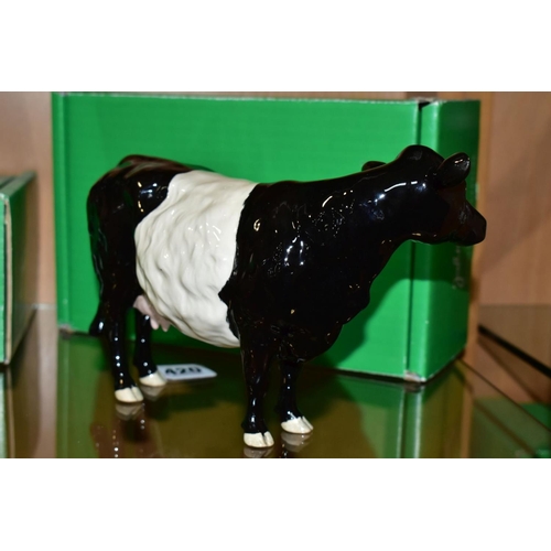 420 - A BOXED BESWICK RARE BREED BELTED GALLOWAY COW, No 4113A designed by Robert Donaldson, Beswick crest... 