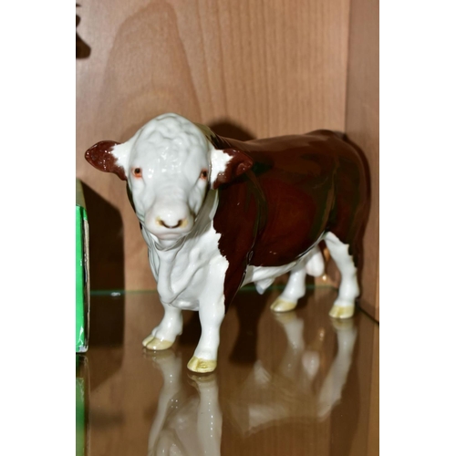 425 - TWO BESWICK HEREFORD BULLS, comprising No.1363A (first version, horns protrude from ears) and Polled... 