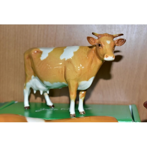 426 - BESWICK GUERNSEY CATTLE, comprising Bull Ch. Sabrina's Sir Richmond 14th, No.1451 two Guernsey Cows,... 