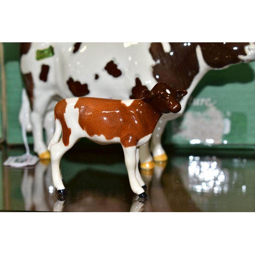 427 - BESWICK AYRSHIRE CATTLE, comprising Bull Ch. Whitehill Mandate No.1454B, Cow Ch. Ickham Bessie No.13... 