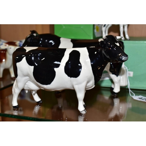 428 - BESWICK FRIESIAN CATTLE, comprising boxed Bull Ch. Coddington Hilt Bar, No.1439A, gloss, Cow Ch. Cla... 