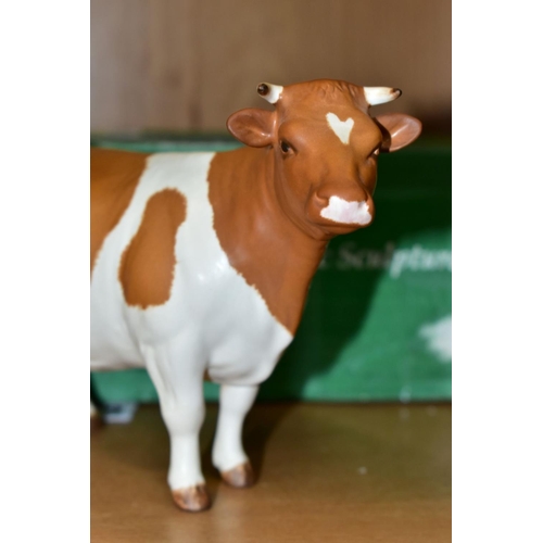 429 - A BESWICK RED FRIESIAN COW, Ch. Claybury Leegwater, No.1362B, matt finish, oval Beswick backstamp, w... 