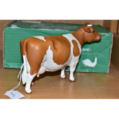 429 - A BESWICK RED FRIESIAN COW, Ch. Claybury Leegwater, No.1362B, matt finish, oval Beswick backstamp, w... 