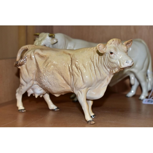 431 - BESWICK CHAROLAIS CATTLE, comprising Bull No.2463A, gloss, Cow No.3075A, gloss and Charolais Calf No... 