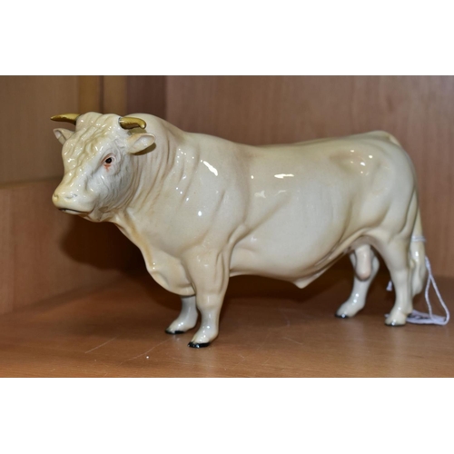 431 - BESWICK CHAROLAIS CATTLE, comprising Bull No.2463A, gloss, Cow No.3075A, gloss and Charolais Calf No... 