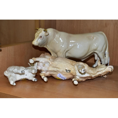 431 - BESWICK CHAROLAIS CATTLE, comprising Bull No.2463A, gloss, Cow No.3075A, gloss and Charolais Calf No... 