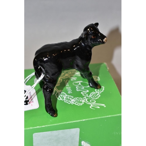 436 - A BESWICK ABERDEEN ANGUS CALF, No.1406A, oval Beswick backstamp, with odd box (condition: no obvious... 