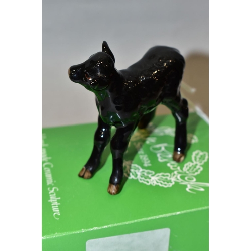 436 - A BESWICK ABERDEEN ANGUS CALF, No.1406A, oval Beswick backstamp, with odd box (condition: no obvious... 