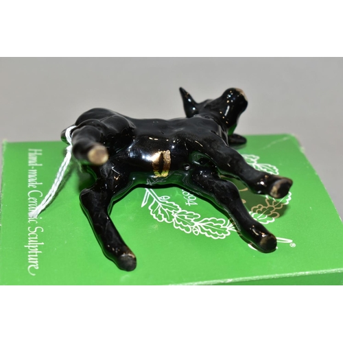 436 - A BESWICK ABERDEEN ANGUS CALF, No.1406A, oval Beswick backstamp, with odd box (condition: no obvious... 