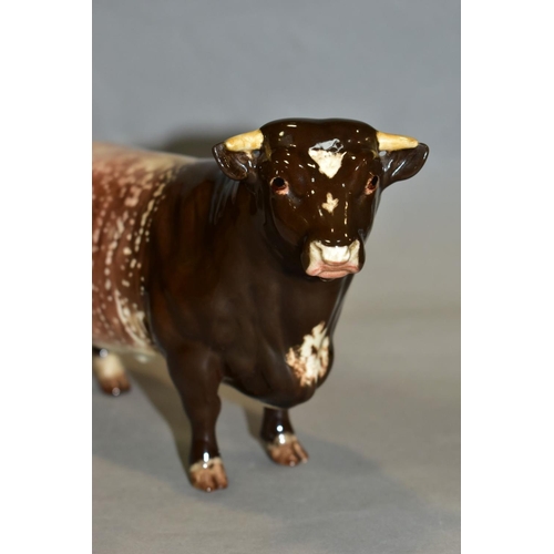 437 - A BESWICK DAIRY SHORTHORN BULL, Ch. 'Gwersylt Lord Oxford 74th', No.1504, oval Beswick backstamp (co... 