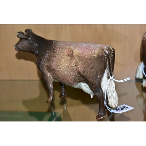 438 - A BESWICK DAIRY SHORTHORN COW, Ch. 'Eaton Wild Eyes 91st', No.1510, oval Beswick backstamp (conditio... 