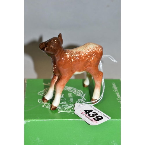 439 - A BESWICK DAIRY SHORTHORN CALF, No.1406C, oval Beswick backstamp, with an odd box (condition: no obv... 