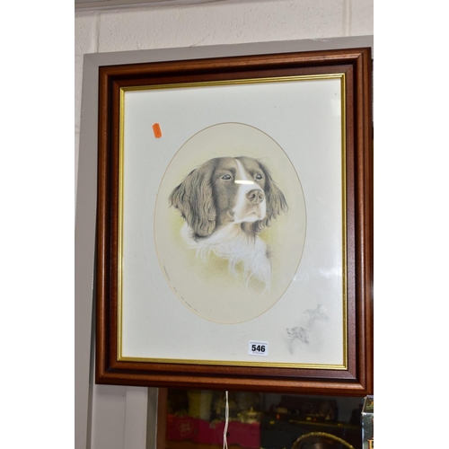 546 - JOHN WATERHOUSE (BRITISH 1967) SPRINGER SPANIEL, a head portrait of a dog, signed and dated October ... 