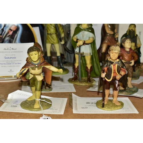 710 - DANBURY MINT: THE LORD OF THE RINGS, a collection of nine resin figures (The Fellowship of the Ring)... 