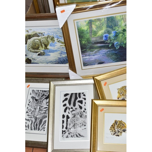 761 - TWENTY LIMITED EDITION PRINTS comprising sixteen Stephen Gayford Wildlife prints - Big Cats, Wolfs, ... 