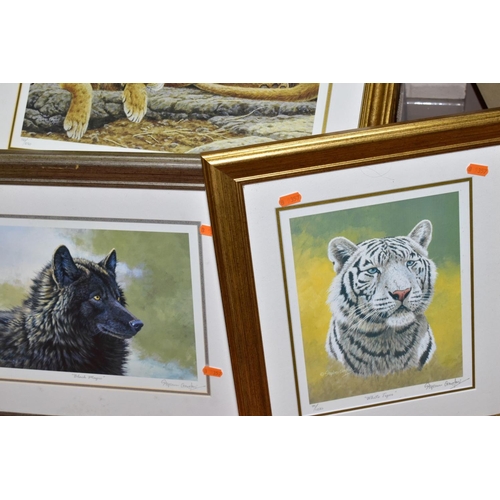 761 - TWENTY LIMITED EDITION PRINTS comprising sixteen Stephen Gayford Wildlife prints - Big Cats, Wolfs, ... 