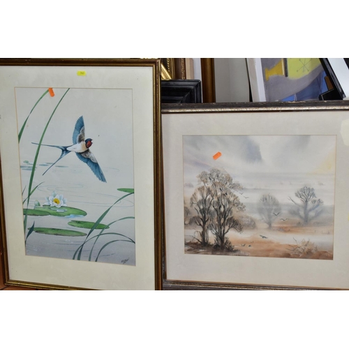 763 - PAINTINGS AND PRINTS etc, to include a watercolour of a Swallow by Raymond Stanger, framed, approxim... 