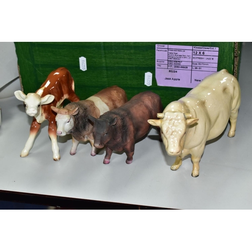 781 - A BESWICK CHAROLAIS BULL, No. 2463A, gloss (both horns broken) and a Hereford calf No. 854 (brown an... 